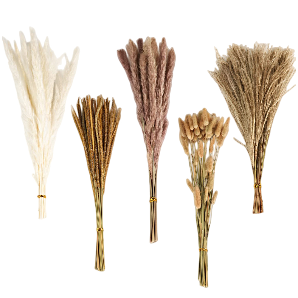 Herbstlicher Vintage-Mischblum – Dried Flower Bulk Bewertung und Preis